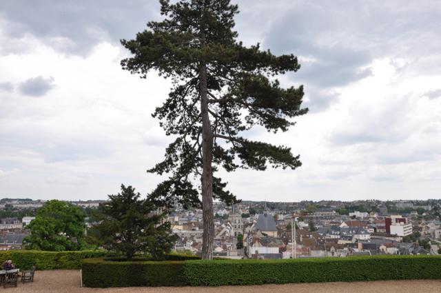 min 2013 05 26 dreux 073